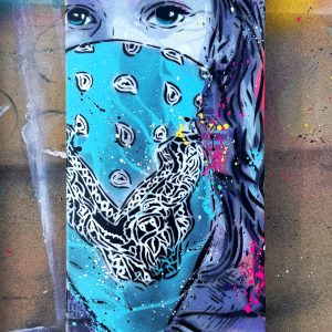 SKATEBOARD "SOLDAT DE LA COULEUR 2"